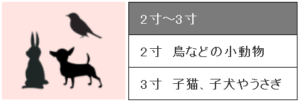2寸～3寸